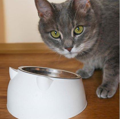 Obrázok z Miska pre mačky 2v1