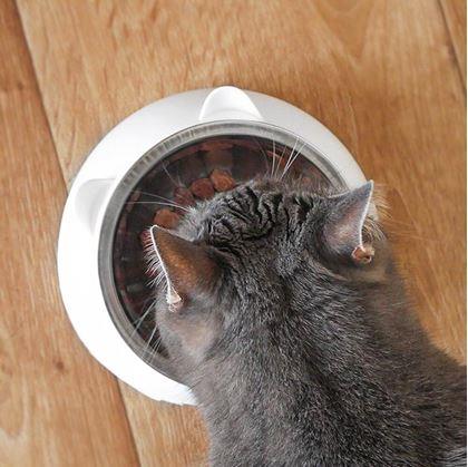 Obrázok z Miska pre mačky 2v1