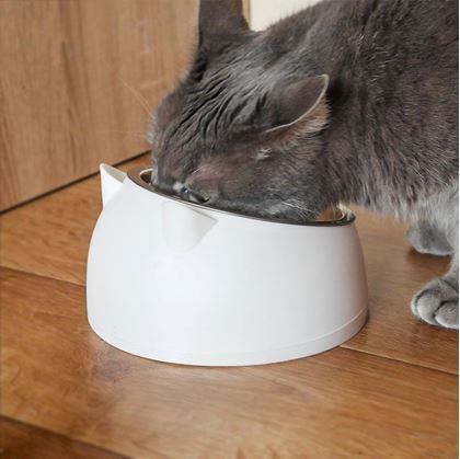 Obrázok z Miska pre mačky 2v1