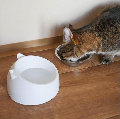 Obrázok z Miska pre mačky 2v1