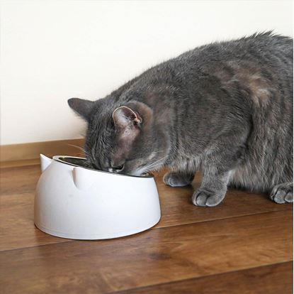 Obrázok Miska pre mačky 2v1