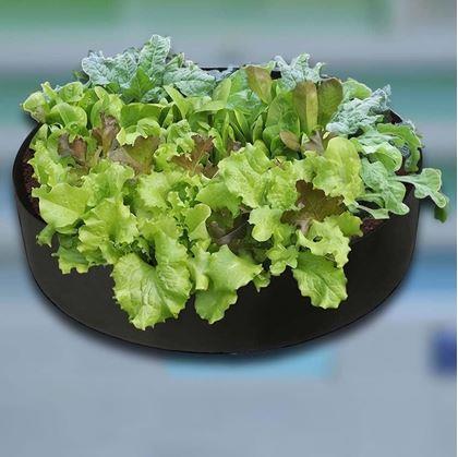 Obrázok z Textilný záhon 140 l, 80 x 30 cm