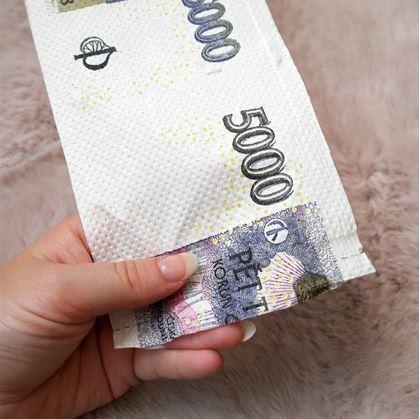 Obrázok z Toaletný papier päťtisícka