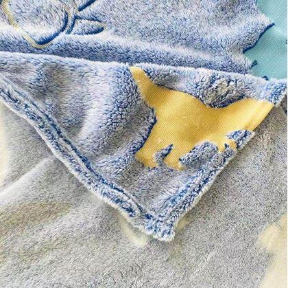 Obrázok z Svietiaca deka  -  dinosaurus