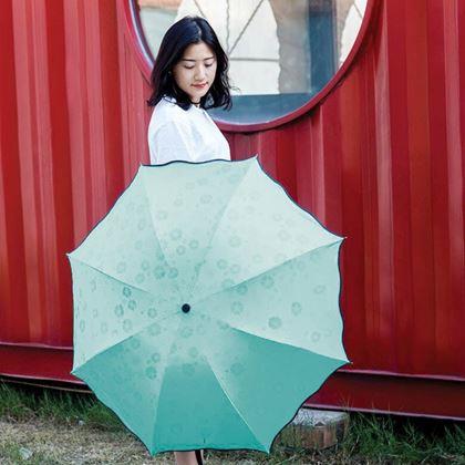 Obrázok z Magický skladací dáždnik -  mentolový