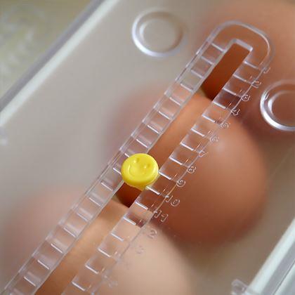 Obrázok z Samospádový organizér na vajíčka