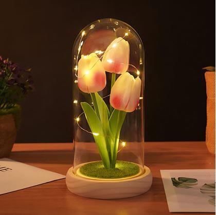 Obrázok z Svietiace tulipány v sklenenej kupole