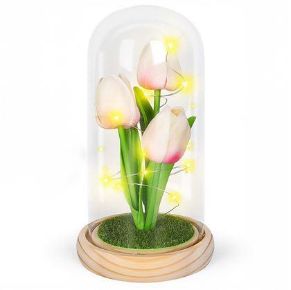 Obrázok z Svietiace tulipány v sklenenej kupole