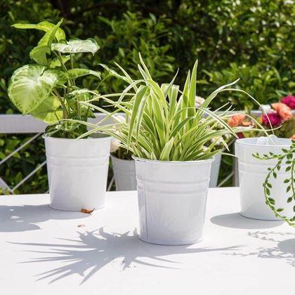 Obrázok z Závesný kvetináč na balkón  -  biely