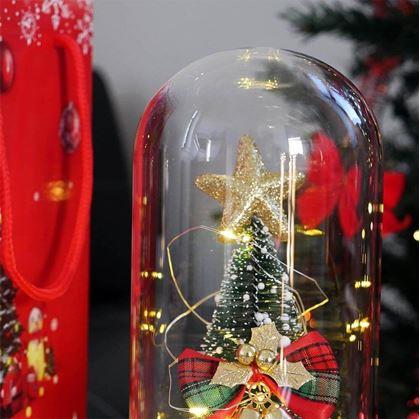 Obrázok z Svietiaci vianočný stromček v sklenenej váze v darčekovom balení