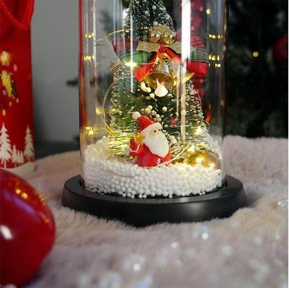 Obrázok z Svietiaci vianočný stromček v sklenenej váze v darčekovom balení