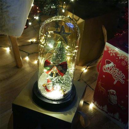 Obrázok z Svietiaci vianočný stromček v sklenenej váze v darčekovom balení