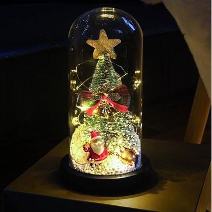 Obrázok z Svietiaci vianočný stromček v sklenenej váze v darčekovom balení