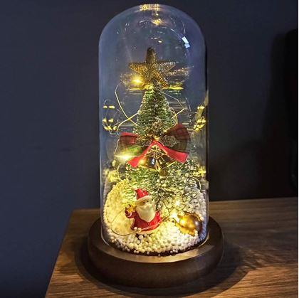 Obrázok z Svietiaci vianočný stromček v sklenenej váze v darčekovom balení
