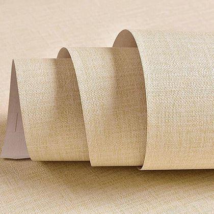 Obrázok z Vinylová tapeta na stenu 300 cm  -  béžová