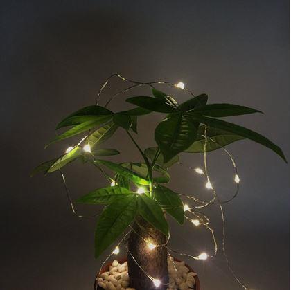 Obrázok z Svetelný reťaz s diaľkovým ovládačom, farebné/teplé/studené svetlo, 5 m