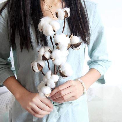 Obrázok z Umelá vetvička bavlníka 50 cm