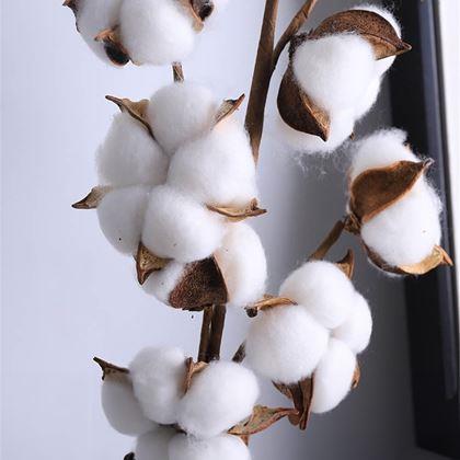 Obrázok z Umelá vetvička bavlníka 50 cm