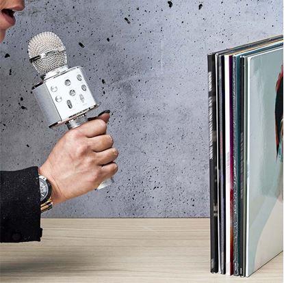 Obrázok Bezdrôtový karaoke mikrofón s reproduktorom a Bluetooth strieborný