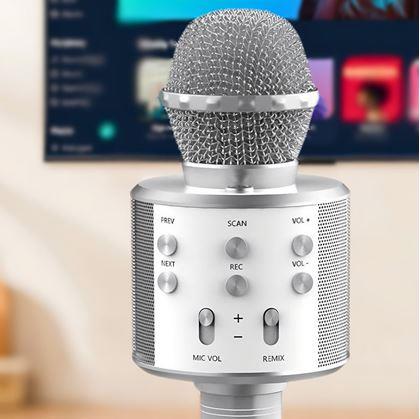 Obrázok z Bezdrôtový karaoke mikrofón s reproduktorom a Bluetooth strieborný