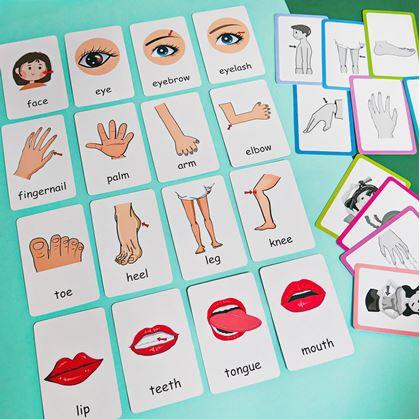 Obrázok z Sada 36 výučbových kartičiek v angličtine -  časti tela