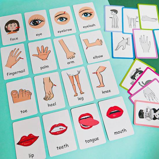 Obrázok z Sada 36 výučbových kartičiek v angličtine -  časti tela