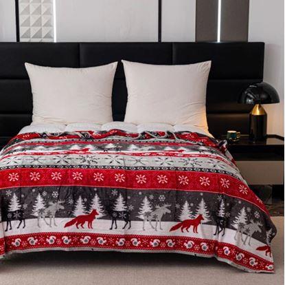 Obrázok Vianočná mikroplyšová deka lesné kráľovstvo 150 x 200 cm