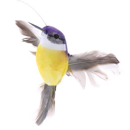 Obrázok z Hračka pre mačky - lietajúci kolibrík