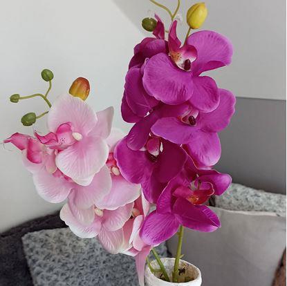 Obrázok Umelé kvety orchidea