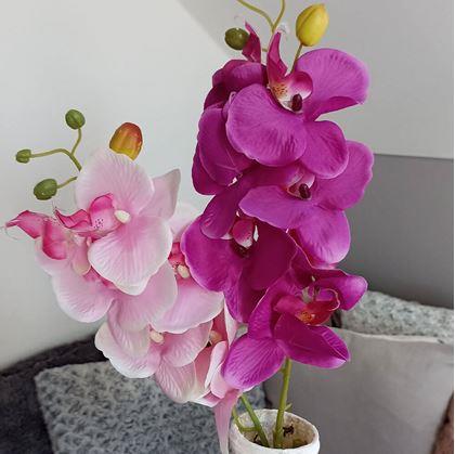 Obrázok z Umelé kvety orchidea - tmavo ružová