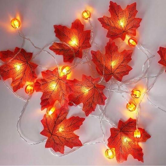 Obrázok z LED svetelná reťaz - jesenné lístie