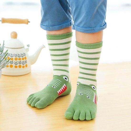 Obrázok z Detské prstové ponožky - veľ. 19-24 cm - krokodíl