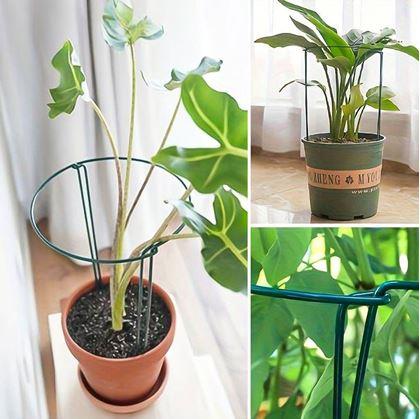Obrázok z Kovová podpera pre rastliny 2 ks 35 cm