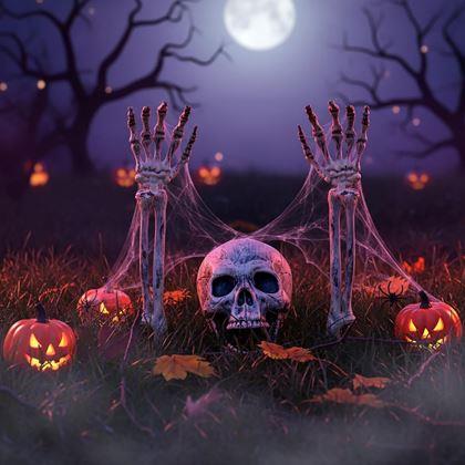 Obrázok z Dekorácie na záhradu - kostlivec