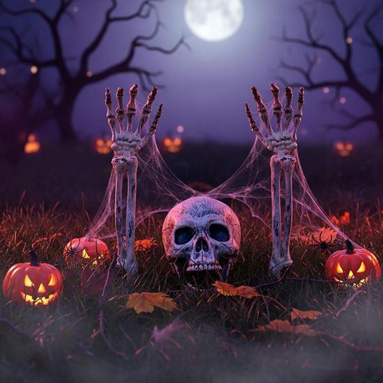 Obrázok z Dekorácie na záhradu - kostlivec