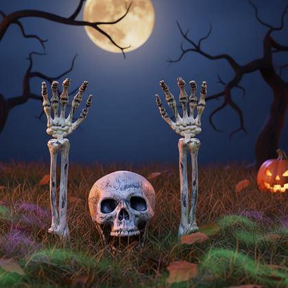 Obrázok z Dekorácie na záhradu - kostlivec