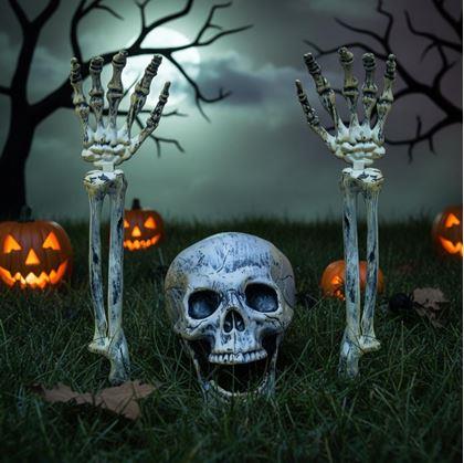 Obrázok z Dekorácie na záhradu - kostlivec