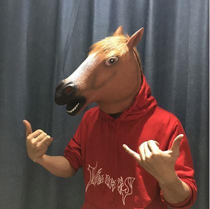 Obrázok z Maska - hlava koňa