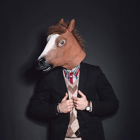 Obrázok z Maska - hlava koňa