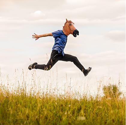 Obrázok z Maska - hlava koňa