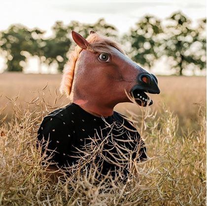 Obrázok z Maska - hlava koňa