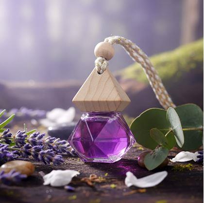 Obrázok z Aróma fľaštička do auta  -  fialová