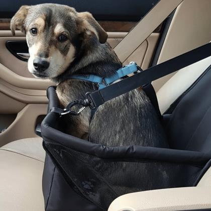 Obrázok z Autosedadlo pre maznáčikov