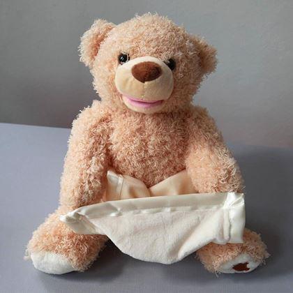 Obrázok z Interaktívny hovoriaci medvedík