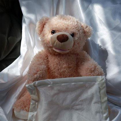 Obrázok z Interaktívny hovoriaci medvedík