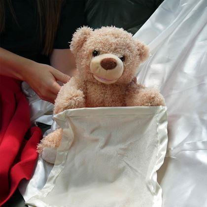 Obrázok z Interaktívny hovoriaci medvedík