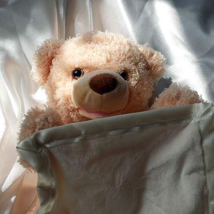 Obrázok z Interaktívny hovoriaci medvedík