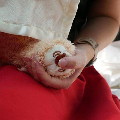 Obrázok z Interaktívny hovoriaci medvedík