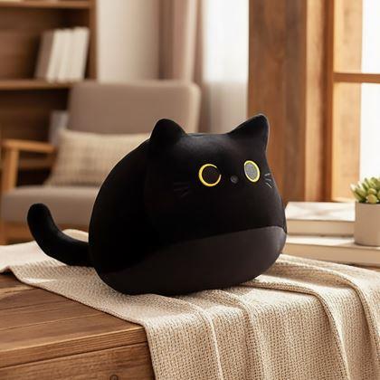 Obrázok z Vankúš čierna mačka