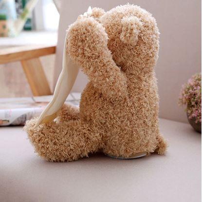 Obrázok Interaktívny hovoriaci medvedík